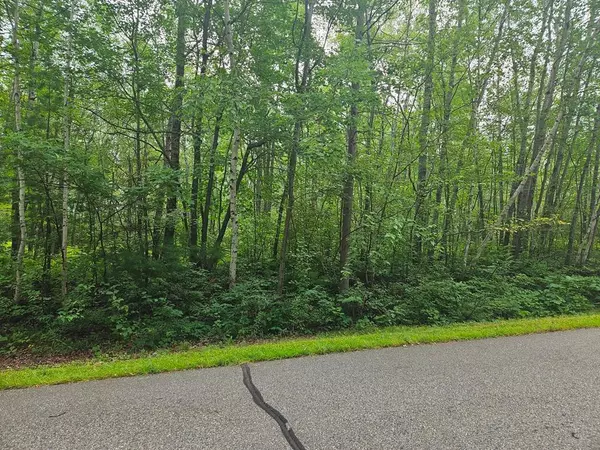 Grand Rapids, MN 55744,Lot 4 Blk 2 SW 1st AVE