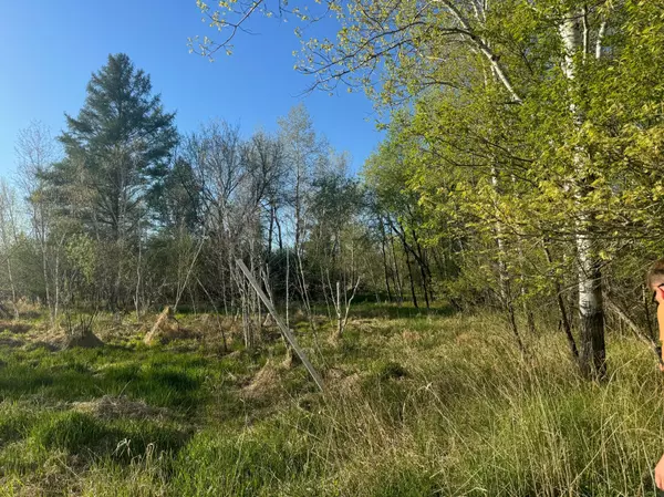 Saint Francis, MN 55070,XXX Salish ST NW
