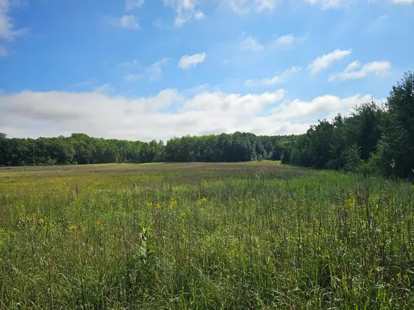 Backus, MN 56435,parcel 1 Hwy 87