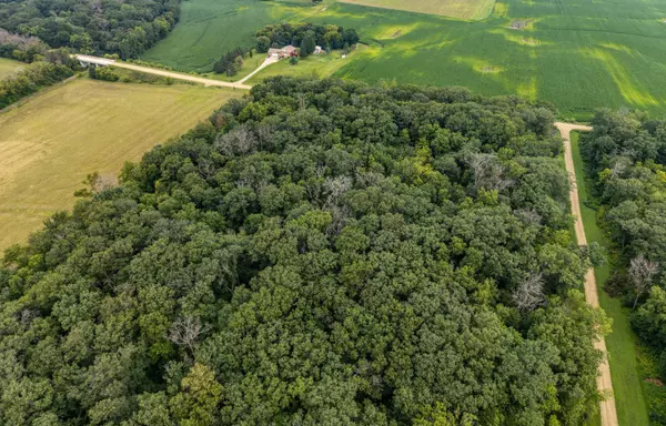 Eureka Twp, MN 55024,TBD 265th ST