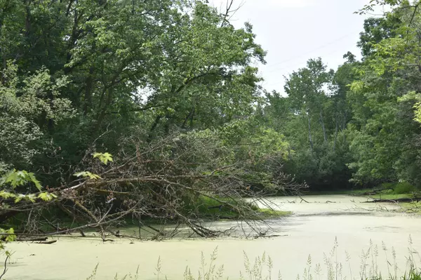 Minnetonka, MN 55343,5500 Rowland RD