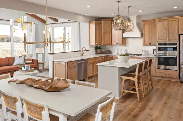 Maple Grove, MN 55369,14573 107th PL N
