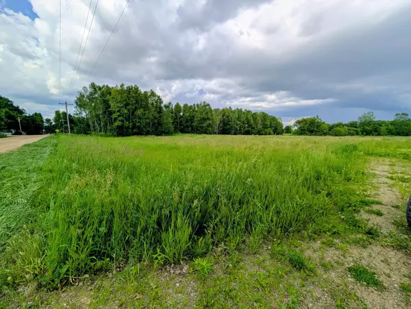 Osakis, MN 56360,TBD 141st Ave