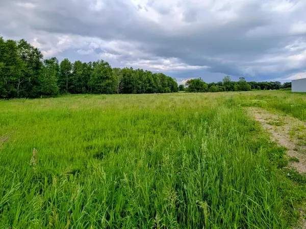 Osakis, MN 56360,TBD 141st Ave