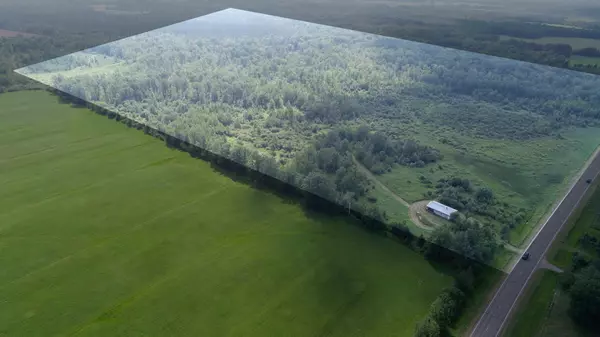 Logan Twp, MN 56469,31493 480th ST