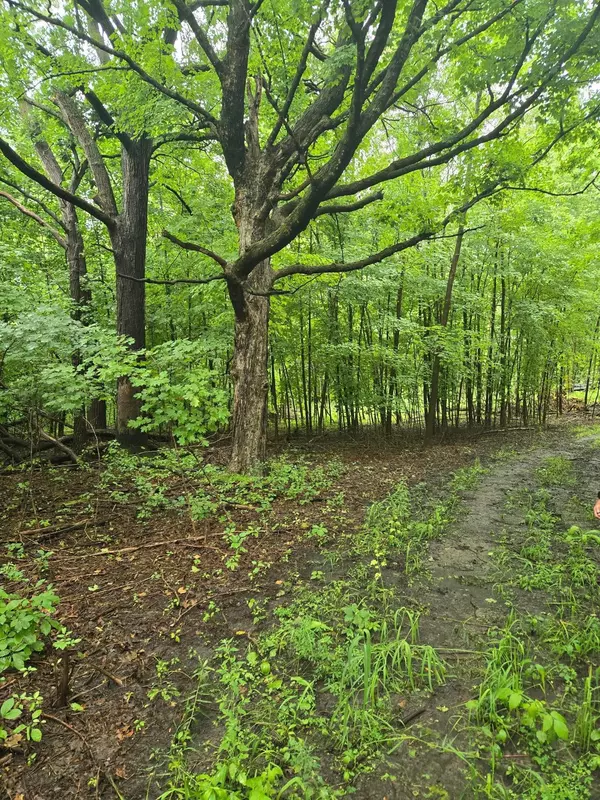 Grass Lake Twp, MN 55006,1002 Hwy 65