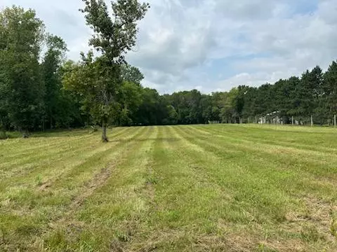 Chisago Lake Twp, MN 55045,319XX-12 N Lakes TRL