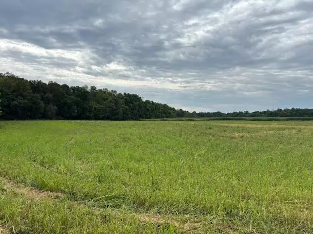 Montrose, MN 55363,XXXX County Rd 30 SW Tract B