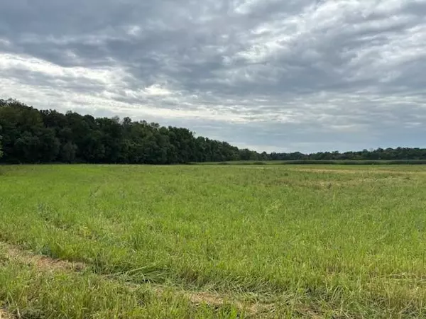 Montrose, MN 55363,XXXX County Rd 30 SW Tract B