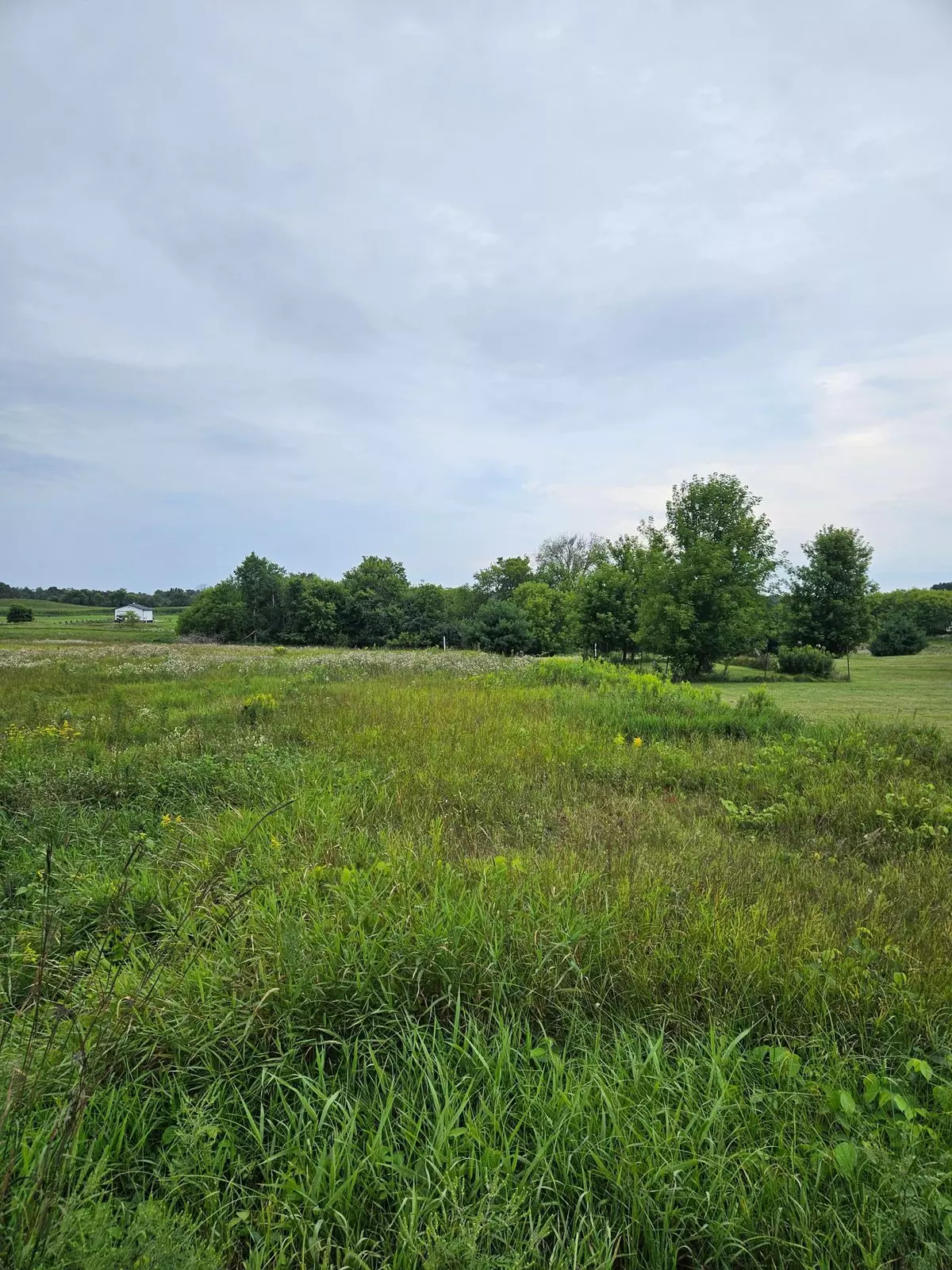 Balsam Lake, WI 54810,XXX 150th AVE