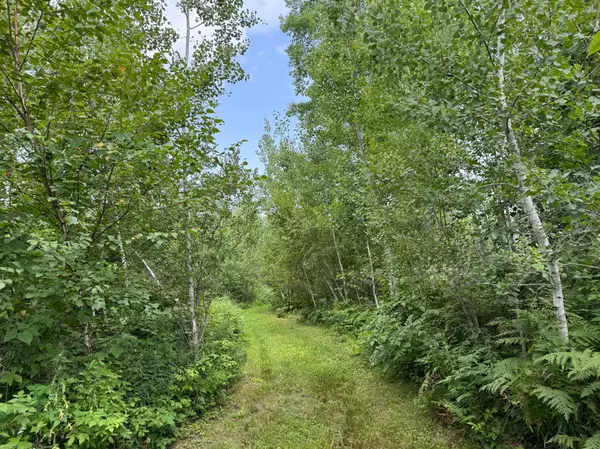 Sandstone, MN 55072,72237 Markville RD