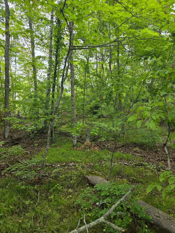 Ten Lake Twp, MN 56601,TBD Anjonabe CT SE