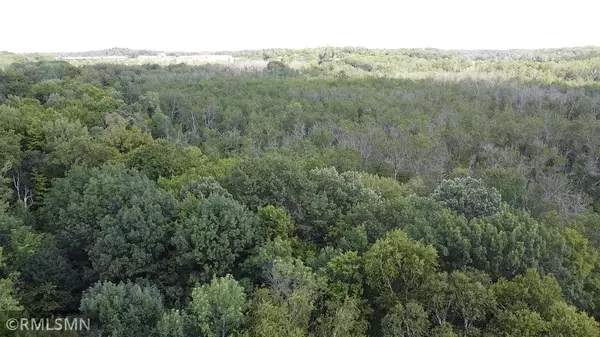 Aitkin, MN 56431,070026400 321st LN