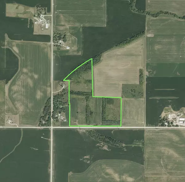 Pine Island Twp, MN 55963,19643 500th ST
