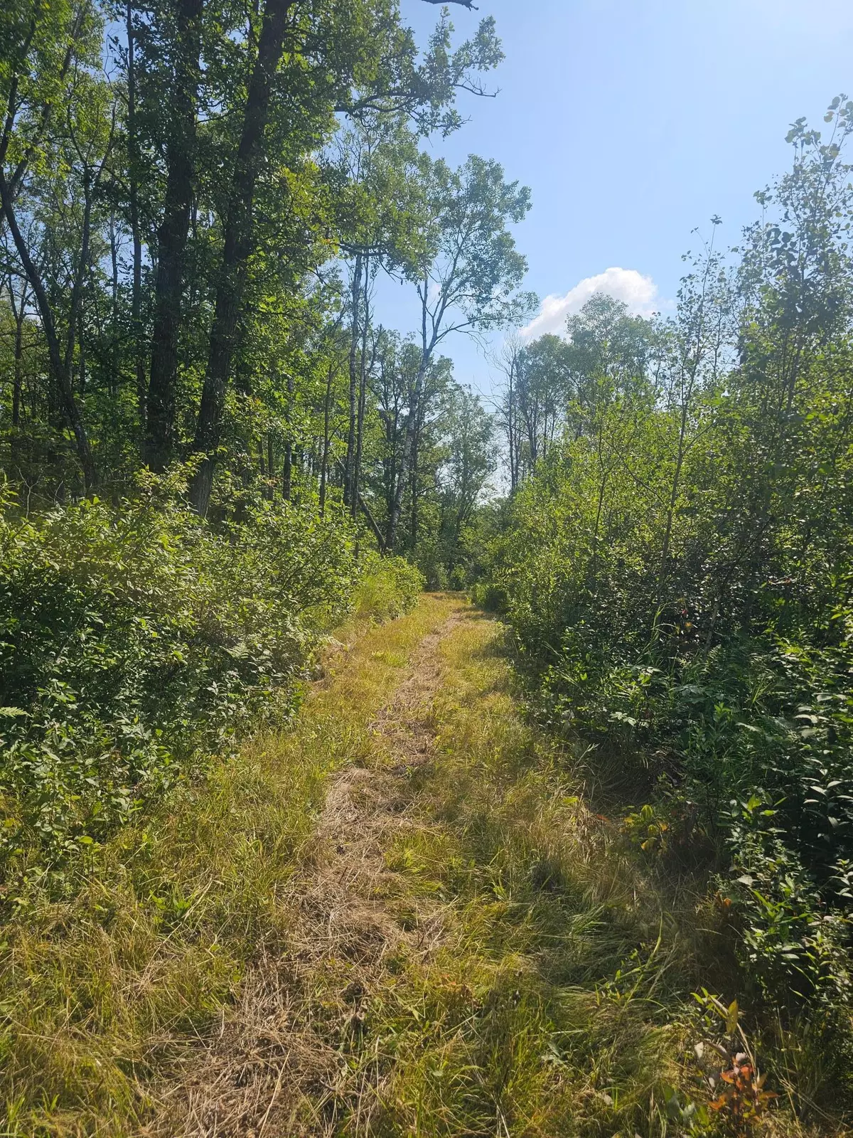 Mcgrath, MN 56342,000 Highway 65