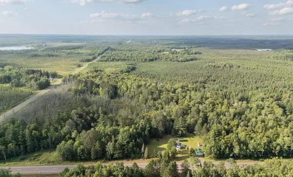 Perch Lake Twp, MN 55720,XXX Big Lake Road