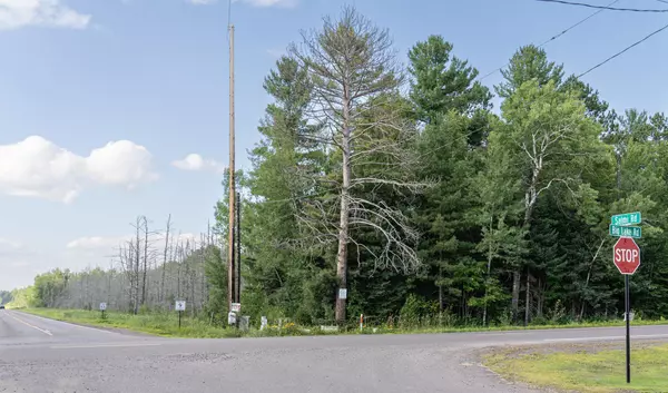 Perch Lake Twp, MN 55720,XXX Big Lake Road