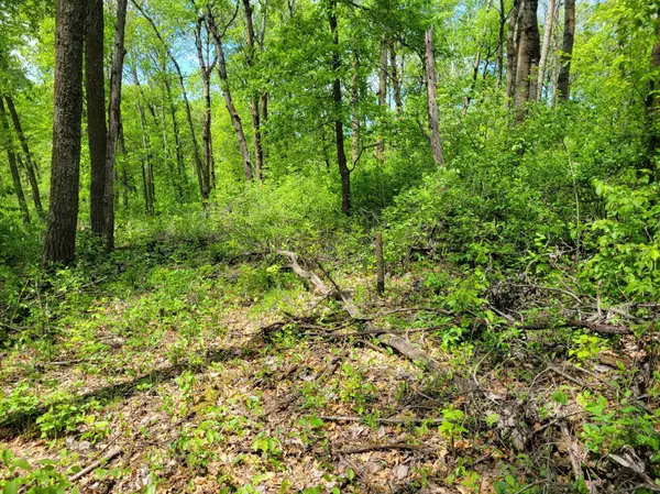 Henning Twp, MN 56551,TBD 510 ave