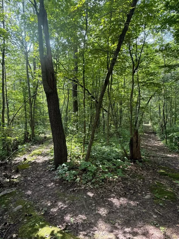 Cushing, MN 56475,XXX Marble Drive