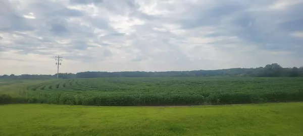 Clitherall Twp, MN 56515,35755 200th ST