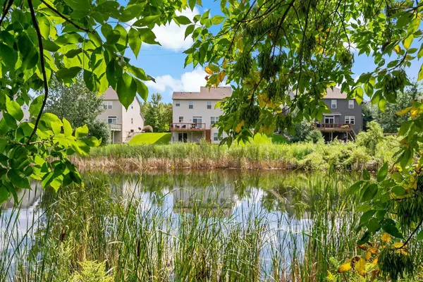 Maple Grove, MN 55311,17987 69th PL N