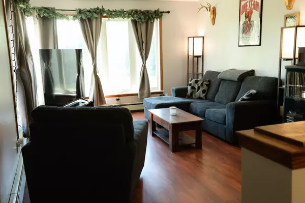 Comfort Twp, MN 55051,2288 195th AVE