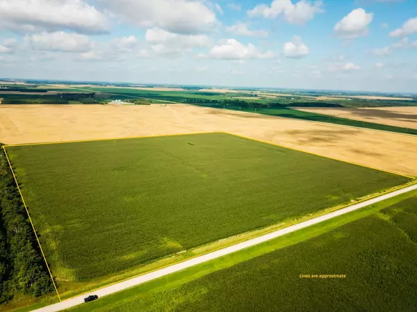 XXXX 330th AVE, Stokes Twp, MN 56714