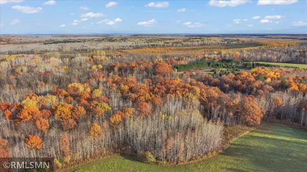 Hinckley, MN 55037,29224 Hawks Nest Lane