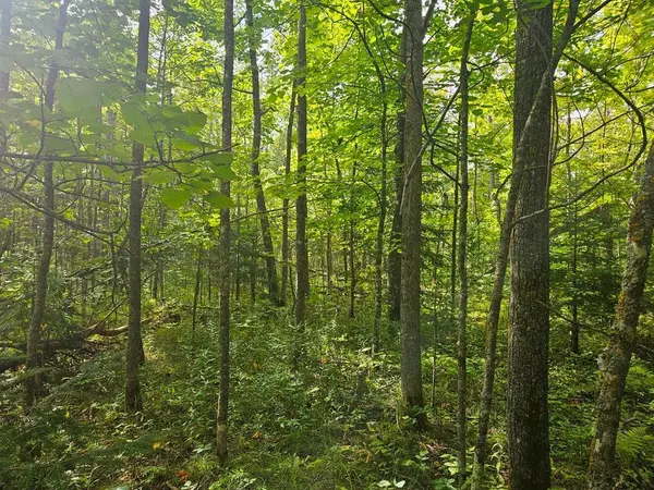 Deer River, MN 56636,Lt 1 Blk 1 County Rd 238