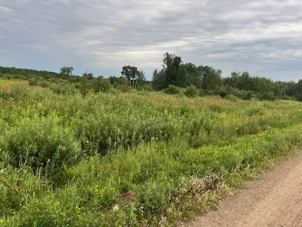 Whited Twp, MN 55007,23xxx Olympic ST