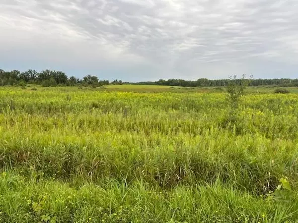 TBD Olympic ST, Whited Twp, MN 55007