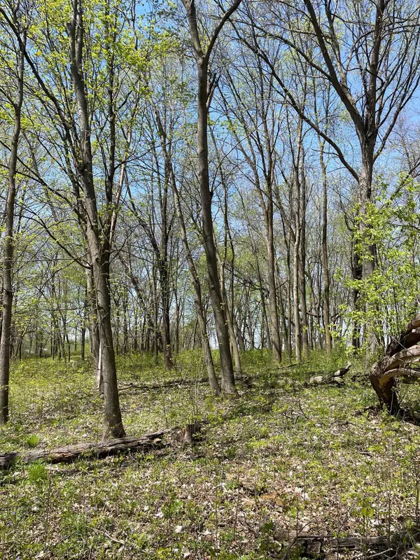 Harris, MN 55032,TBD Stark RD