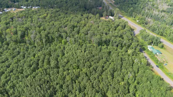 Solon Springs, WI 54873,11857 S Holly Lucius RD