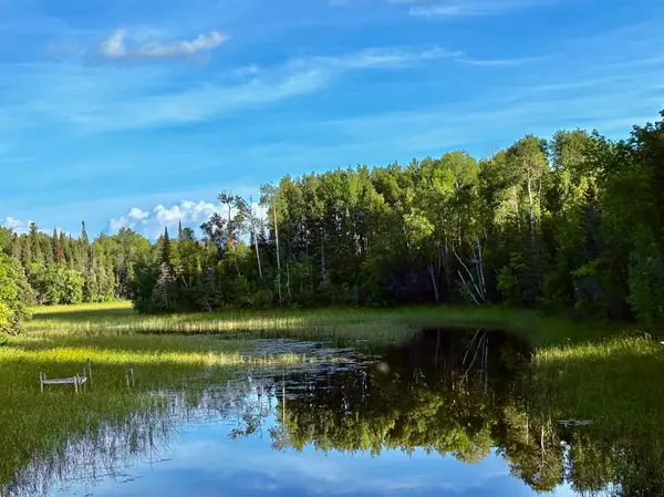 TBD 25th Ave SE, Gudrid Twp, MN 56623