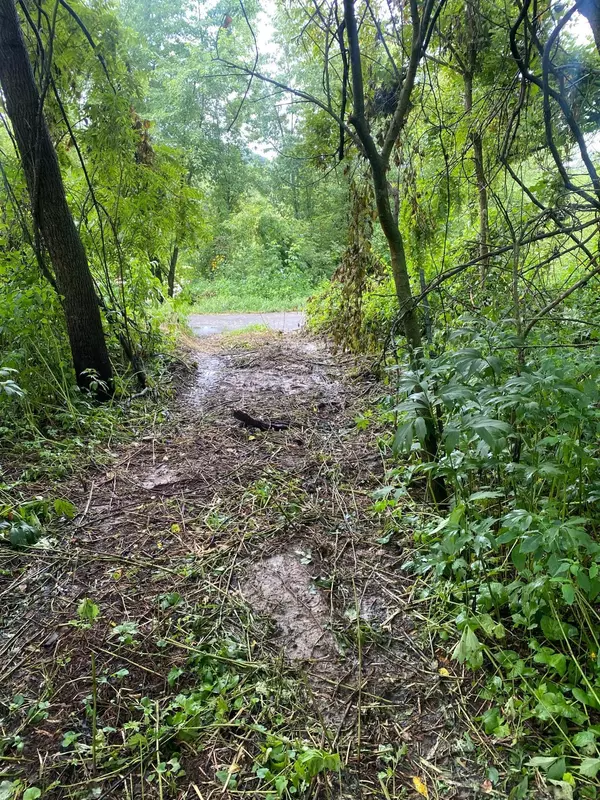 Money Creek Twp, MN 55943,TBD River RD