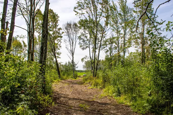 Automba Twp, MN 55757,6XYZ County Road 6