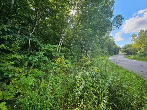 Franconia Twp, MN 55074,TBD 263rd ST