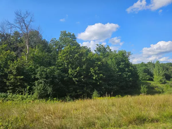 Franconia Twp, MN 55074,xxx 263rd ST