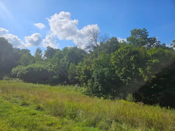 Franconia Twp, MN 55074,xxx 263rd ST