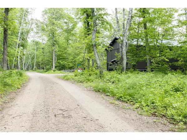 Crosslake, MN 56442,17383 Levi LN