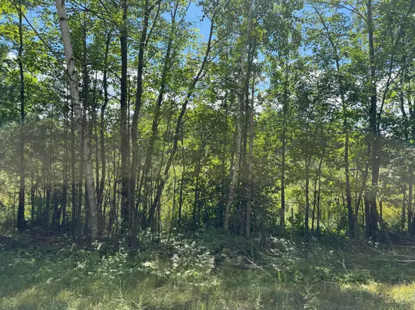 Stanchfield, MN 55080,0000 375th AVE NW