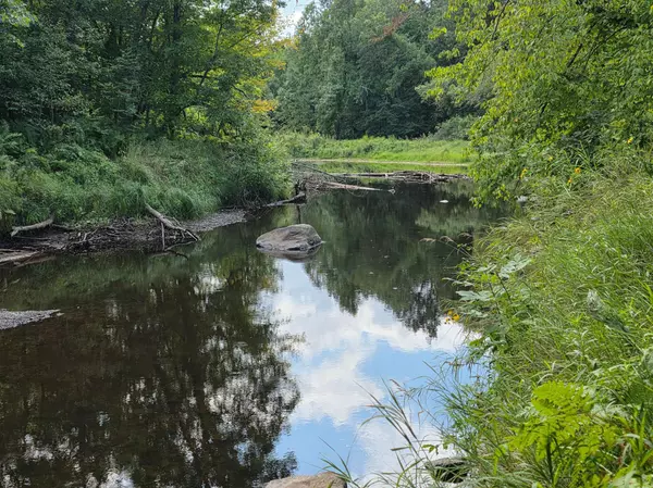 Arna Twp, MN 55072,000 Markville Road