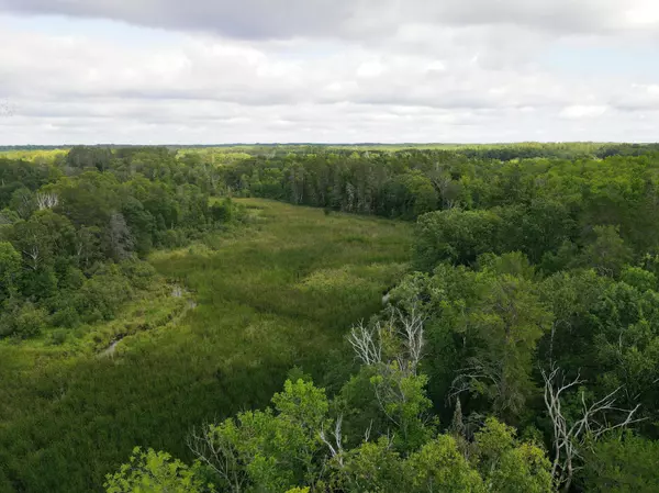 Backus, MN 56435,parcel 3 Hwy 87