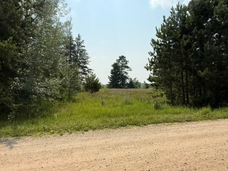 TBD Pony Lake RD NW, Bemidji, MN 56601