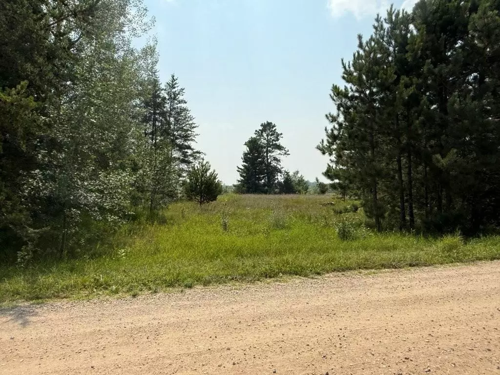 Bemidji, MN 56601,TBD Pony Lake RD NW