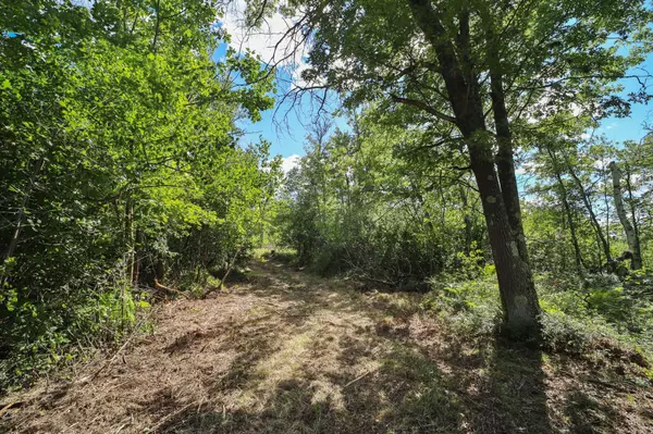 Brainerd, MN 56401,6699 Gould Gray RD