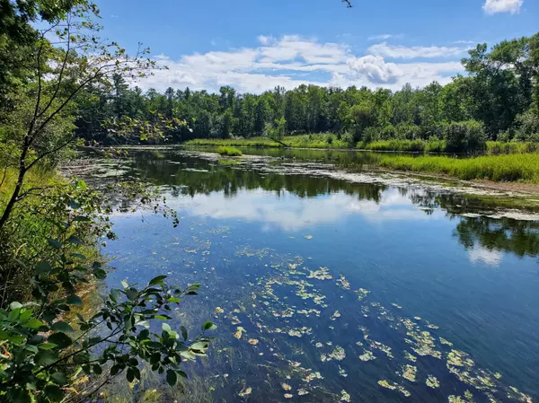 Crosslake, MN 56442,35461 Riverwood CT #44