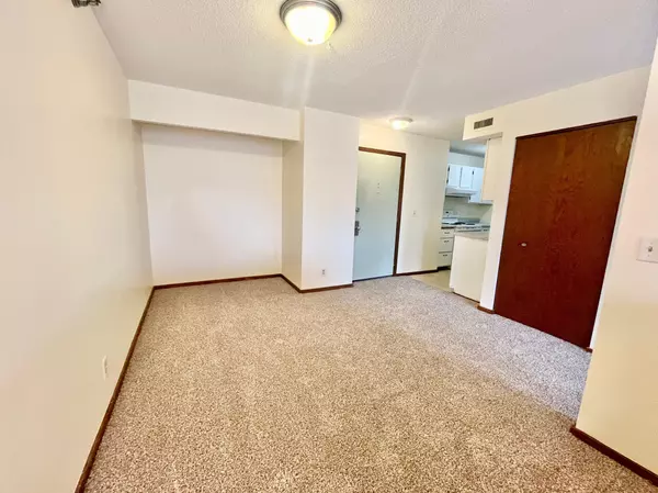 Saint Paul, MN 55102,26 10th ST W #1311