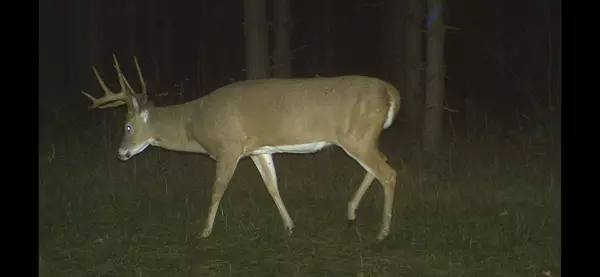 Auburn Twp, WI 54757,1819 County Road M