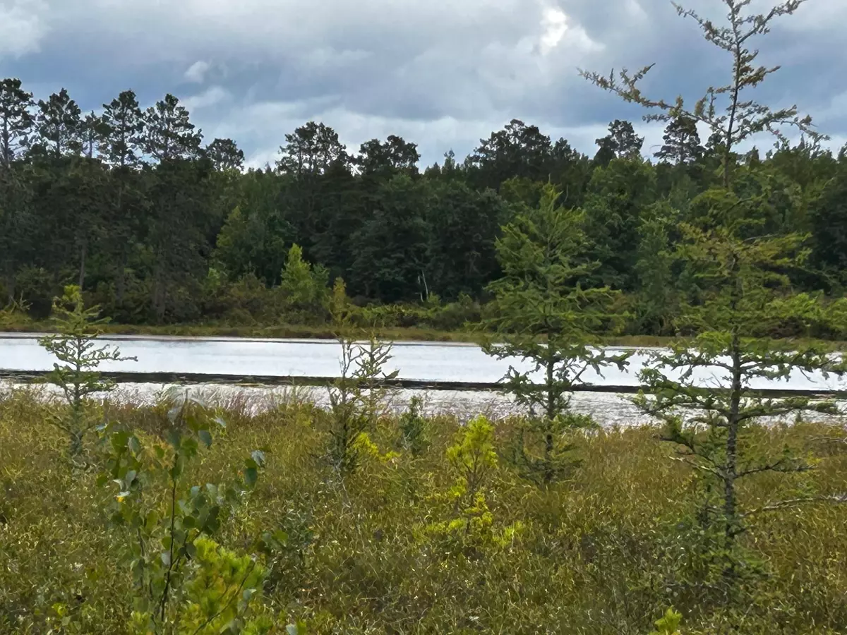 Hackensack, MN 56452,TBD Kestrel TRL NW